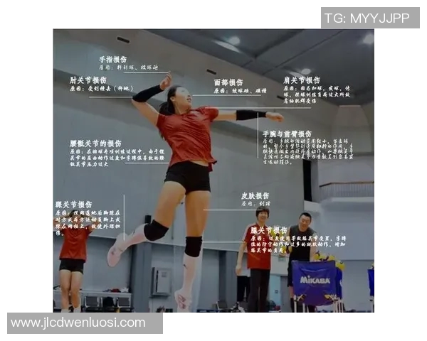 广州排球队比赛经验分享与成长之路的深度探讨与分析