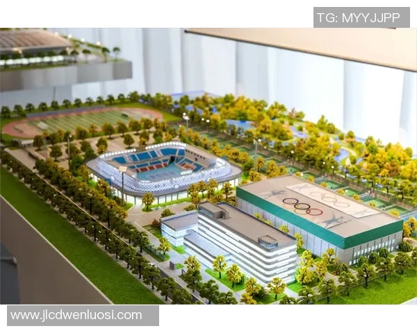 西安网球队进攻策略解析深度剖析网球技术与战术的完美结合