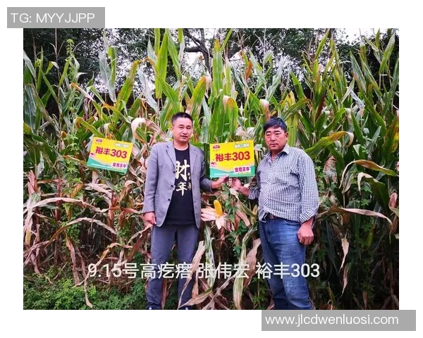 头号种子与三号种子的巅峰对决谁将赢得最终胜利