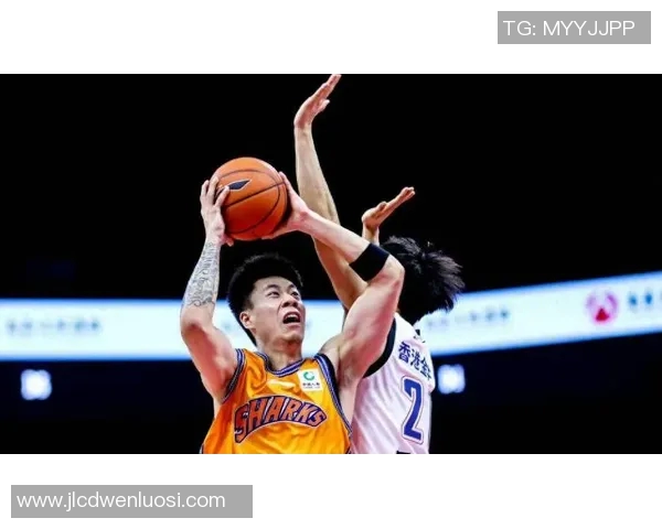 辽宁男篮对阵上海男篮精彩直播全程回顾与分析 辽宁男篮对阵上海男篮精彩直播全程回顾与分析