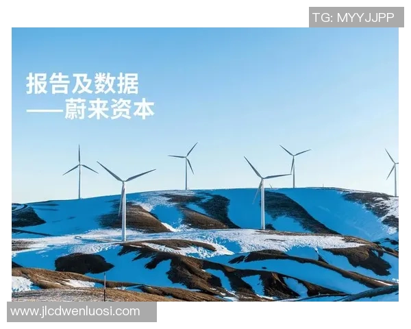 亚马尔地区的能源开发与可持续发展探索及其对全球市场的影响分析