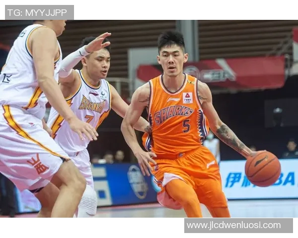 刘铮的奋斗历程与篮球梦想：从青涩少年到职业球员的成长之路